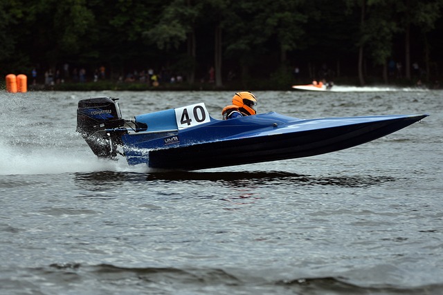 動員們的極 動員們的極