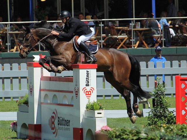 成功率和逼 成功率和逼