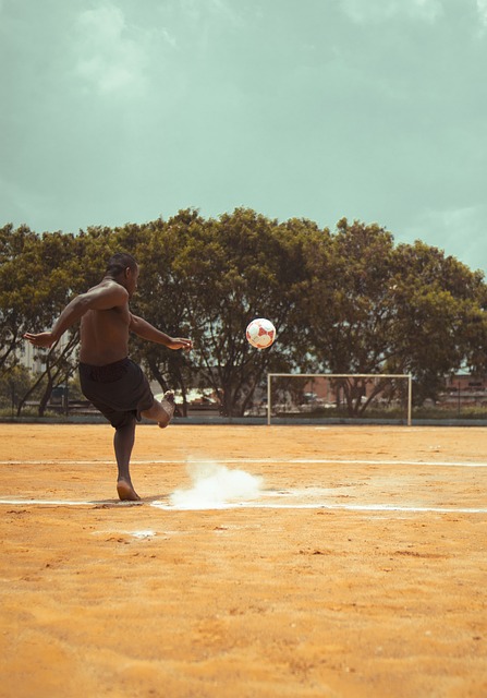 这支处于巅 这支处于巅