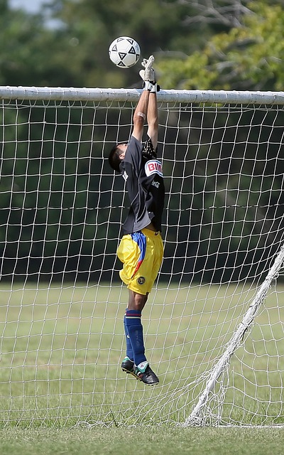 阿森納延續 阿森納延續