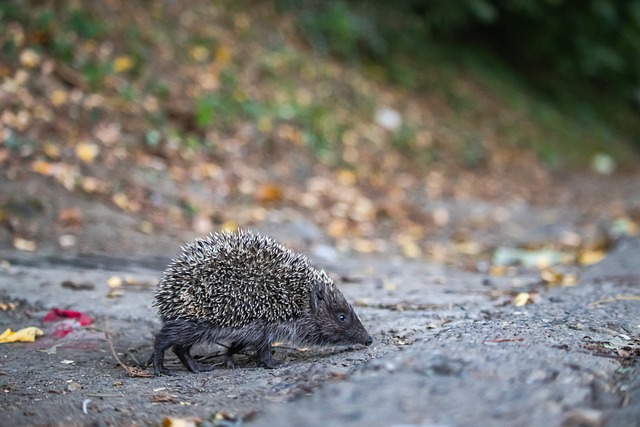 教育部部署开展2025届高校毕业生“寒假促就业暖心行动”.