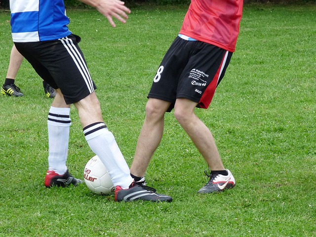 这种竞争环 这种竞争环