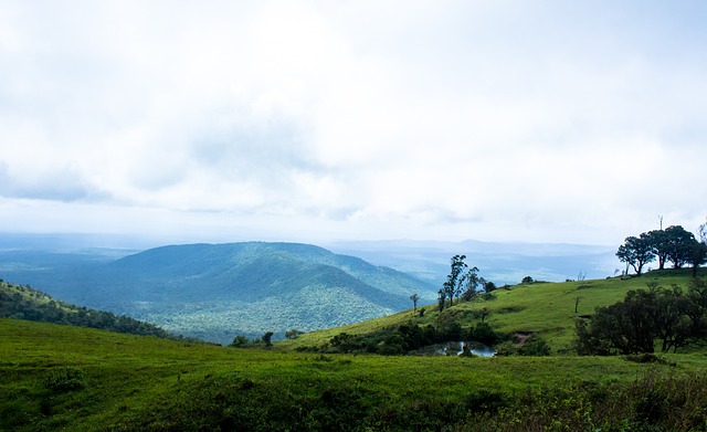 争夺这项国 争夺这项国